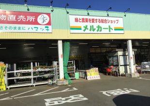 地元野菜を利用することに致しました。