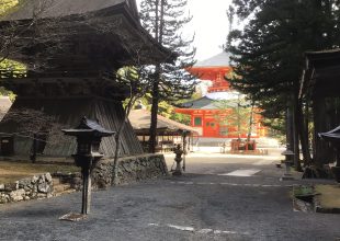 高野山を４日間訪問　