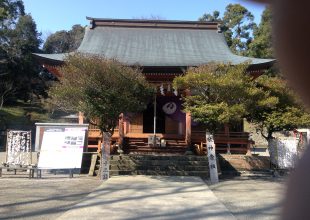 鎮守の森は無くなっていました。