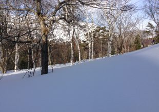 今年は自家用車のタイヤ交換は致しません。
