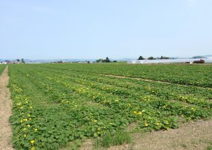 旭川に行ってまいりました。