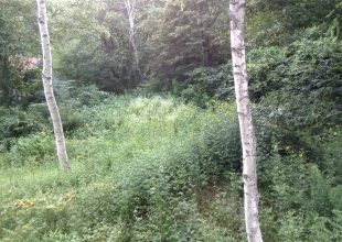 苗場の山小屋はすごいことになっていました。