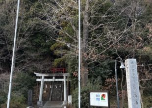 本年もよろしくお願いします。